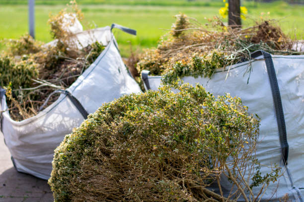 Best Local Junk Hauling  in California, MD